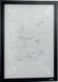 Durable Duraframe Wallpaper zelfklevend kader formaat A4, zwart 10 stuks, OfficeTown