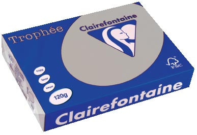 Clairefontaine Trophée Pastel, gekleurd papier, A4, 120 g, 250 vel, lichtgrijs 5 stuks, OfficeTown
