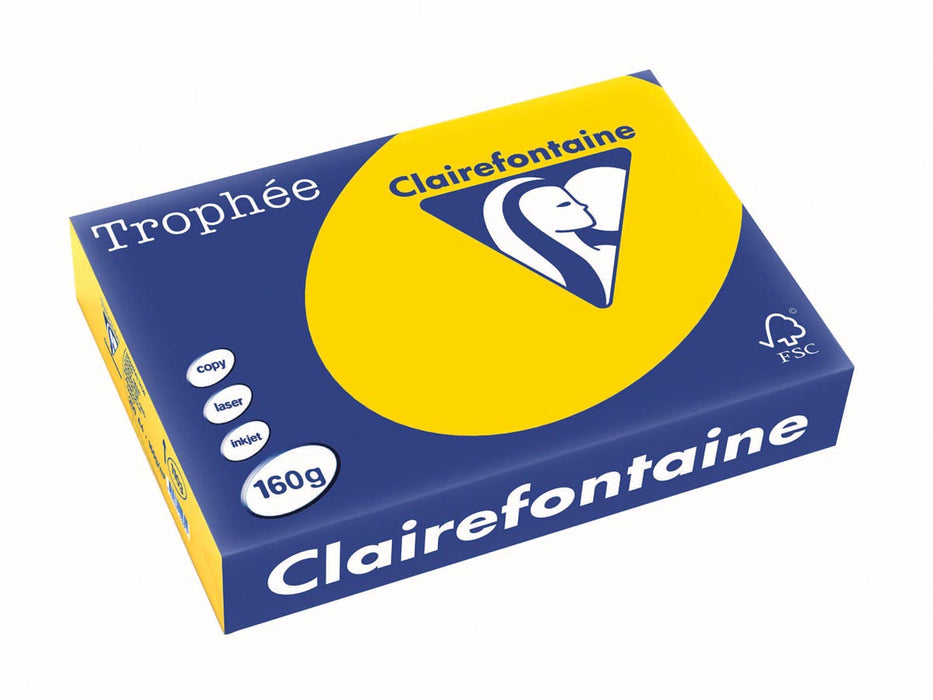 Clairefontaine Trophée Pastel, gekleurd papier, A4, 160 g, 250 vel, goudgeel