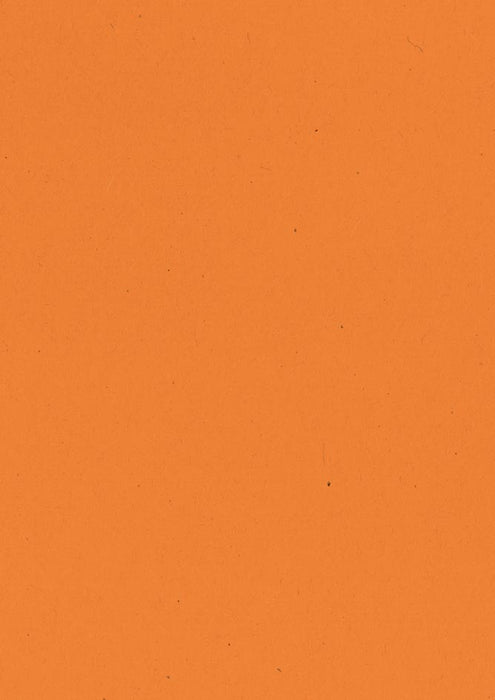 Gekleurd tekenpapier oranje - Pak van 500 vel met oranje papier van 120 g/m², ft 21 x 29,7 cm (A4)