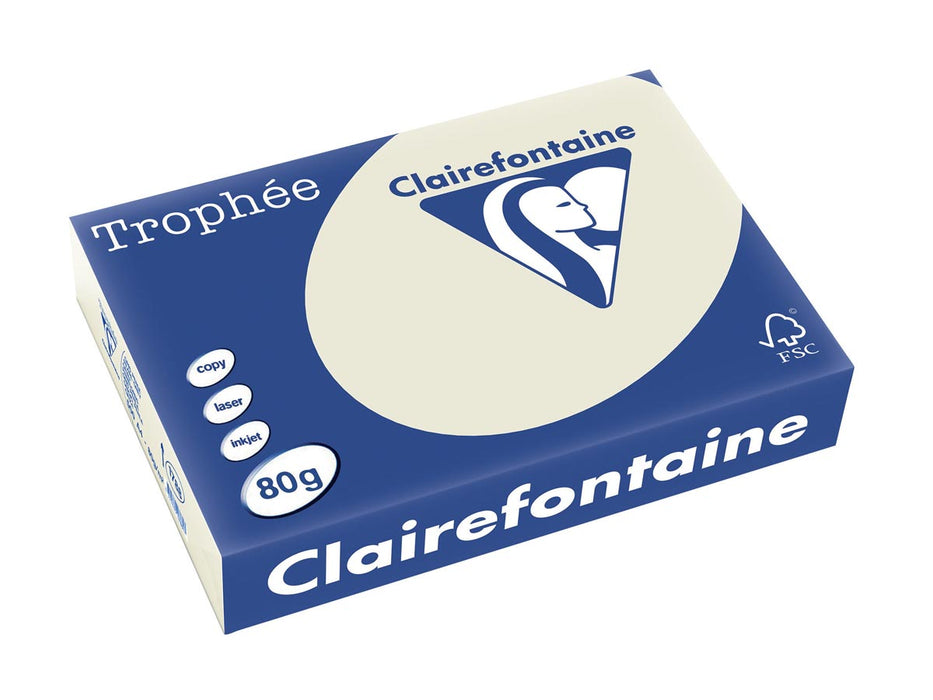 Clairefontaine Trophée gekleurd papier, A4, 80 g, 500 vel, parelgrijs