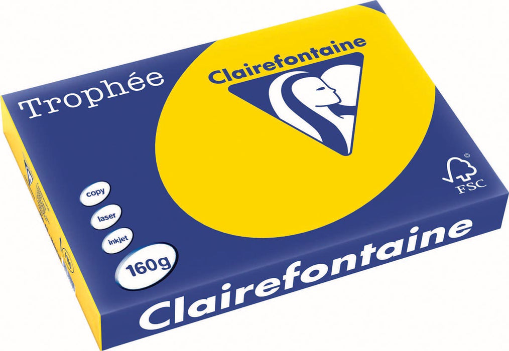 Clairefontaine Trophée Pastel, gekleurd papier, A3, 160 g, 250 vel, goudgeel