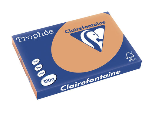 Clairefontaine Trophée Pastel, gekleurd papier, A3, 120 g, 250 vel, mokkabruin 5 stuks, OfficeTown