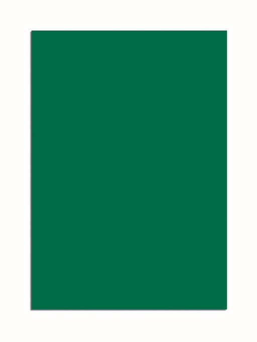 6526155_P.jpg