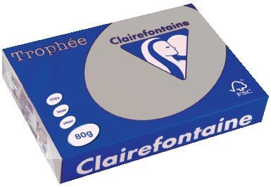 Clairefontaine Trophée gekleurd papier, A4, 80 g, 500 vel, lichtgrijs