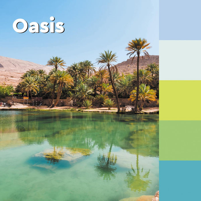 Post-it Super Sticky notities Oasis, 90 vellen, afmetingen 76 x 76 mm, assortiment kleuren, verpakking van 5 blokken