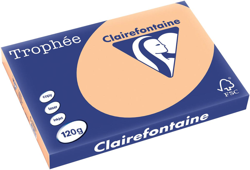 Clairefontaine Trophée Pastel, gekleurd papier, A3, 120 g, 250 vel, abrikoos