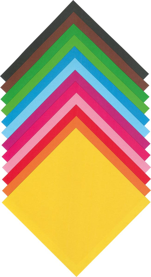 9105_P.jpg