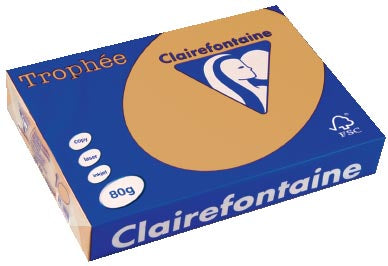 Clairefontaine Trophée gekleurd papier, A4, 80 g, 500 vel, mokkabruin