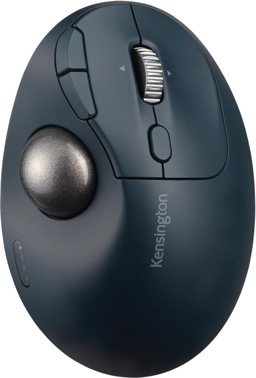 K72196_P.jpg