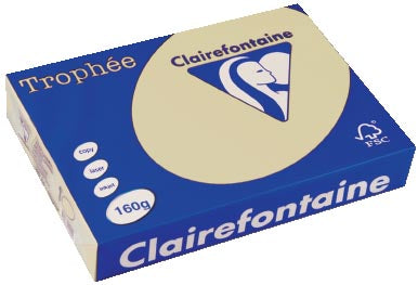 Clairefontaine Trophée Pastel, gekleurd papier, A4, 160 g, 250 vel, gems