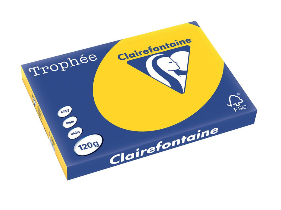 Clairefontaine Trophée Pastel, gekleurd papier, A3, 120 g, 250 vel, goudgeel