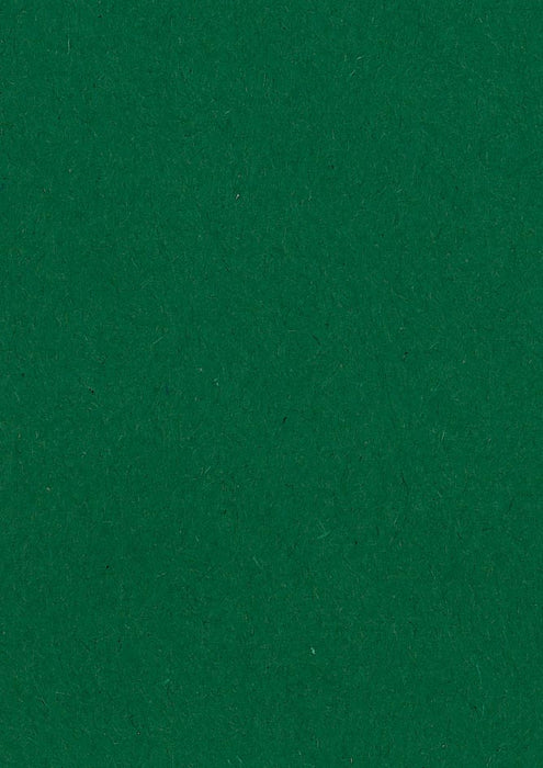 Gekleurd tekenpapier donkergroen - Pak van 500 vel, 120 g/m², ft 21 x 29,7 cm