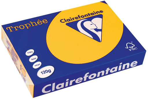 Clairefontaine Trophée Intens, gekleurd papier, A4, 120 g, 250 vel, zonnebloemgeel - OfficeTown