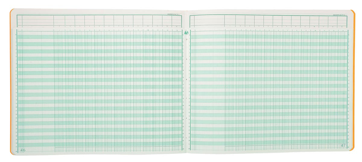 Exacompta registers, ft 27 x 32 cm, 13 kolommen op 1 bladzijde, 31 lijnen, 80 bladzijden