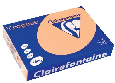 Clairefontaine Trophée Pastel, gekleurd papier, A4, 160 g, 250 vel, zalm