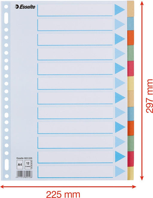 Esselte tabbladen 12 tabs, karton van 275 g/m² - OfficeTown
