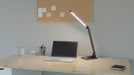 Hansa bureaulamp Breeze, LED, grijs - OfficeTown