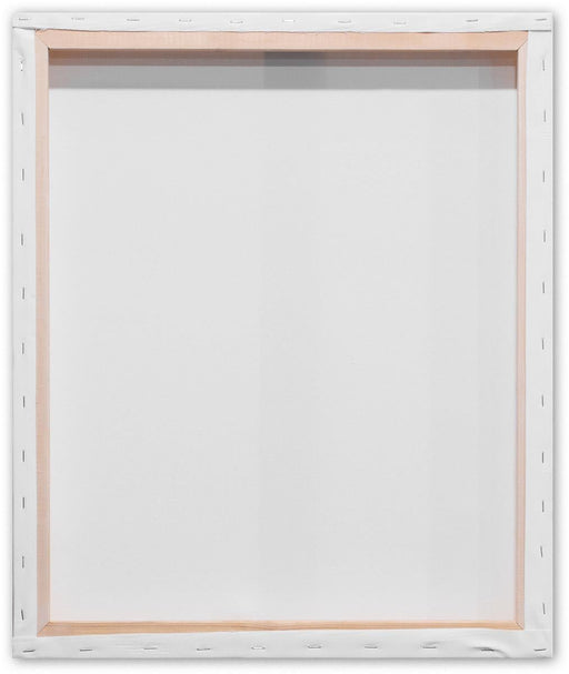 Kangaro opgespannen canvasframe 3D, afmetingen 50 x 60 cm, set van 2 stuks - OfficeTown