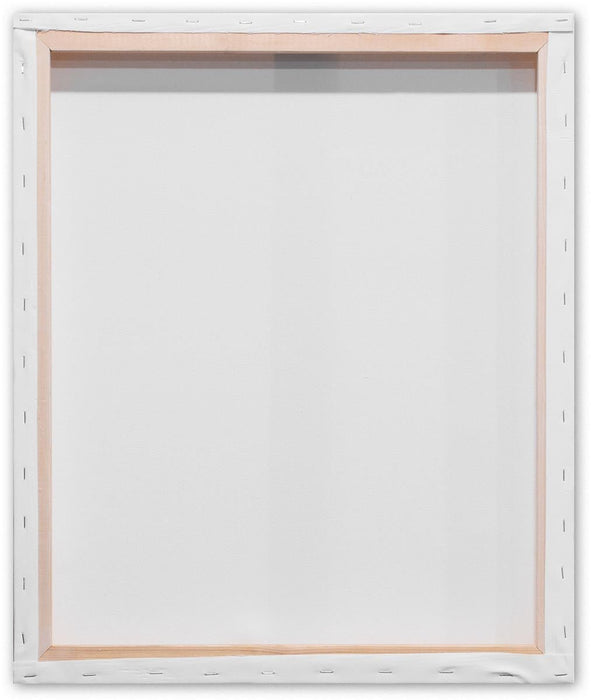 Kangaro opgespannen canvasframe 3D, afmetingen 50 x 60 cm, set van 2 stuks - OfficeTown