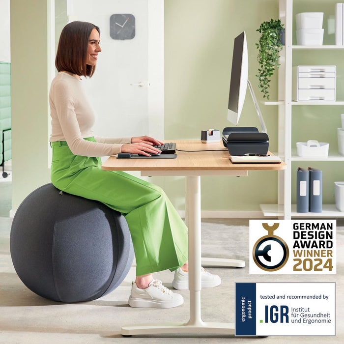 Leitz Ergo actieve zitbal, anti - rol, 65 cm, grijs - OfficeTown