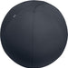 Leitz Ergo actieve zitbal, anti - rol, 75 cm, grijs - OfficeTown