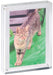 MAUL fotolijst acryl 15x11.5x2.4cm met magnetische hoekverbinding - OfficeTown