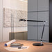 MAULgrace bureaulamp, LED, zwart - OfficeTown
