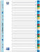 OXFORD tabbladen, A4 - formaat, van PP, 11 - gaatsperforatie, gekleurde tabs, set 1 - 31 - OfficeTown