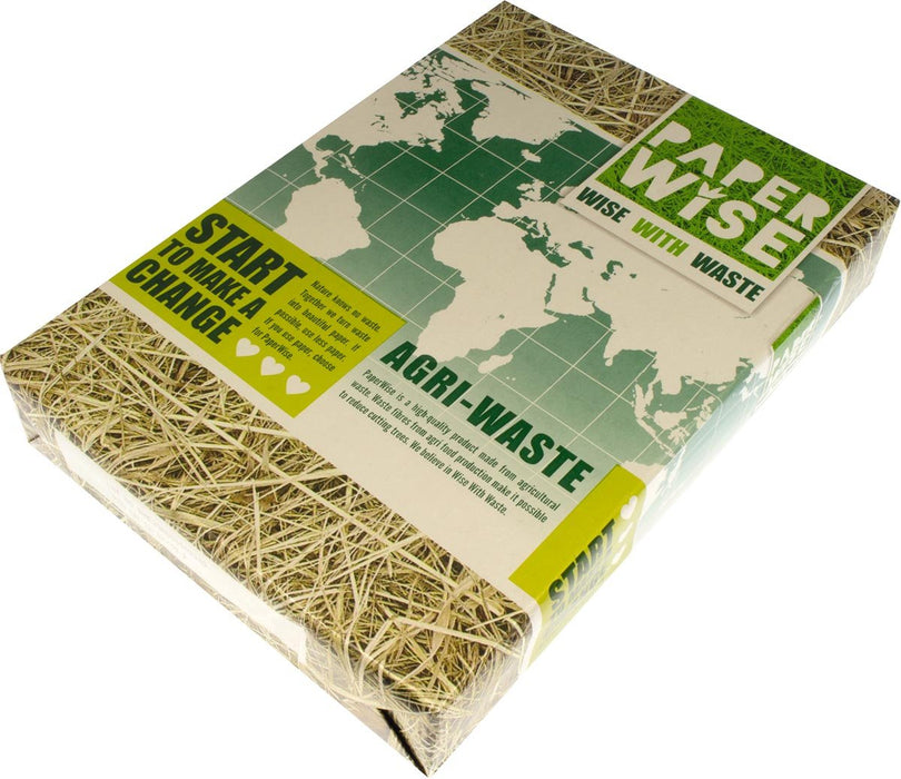 PaperWise papier ft A4, 80 g, pak van 500 vel - OfficeTown